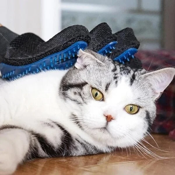 Bequee Hochwertiger Fellpflege-Handschuh für Hund & Katze