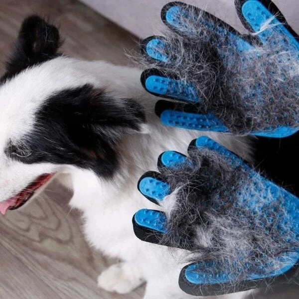 Bequee Hochwertiger Fellpflege-Handschuh für Hund & Katze