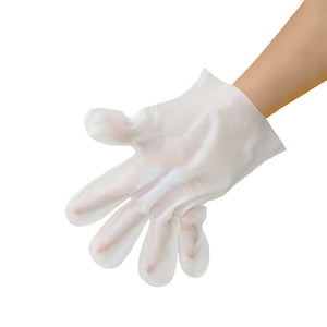 Haustier-Handschuhe ohne Waschen-6 Stück