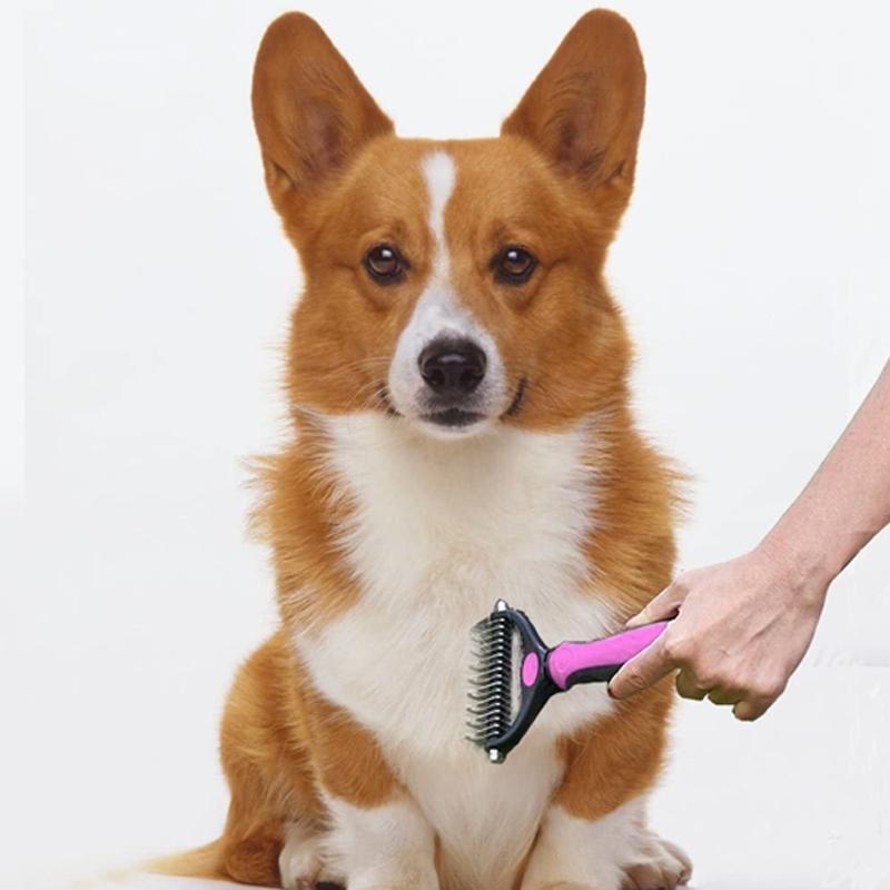 Bürste für die Haustierpflege