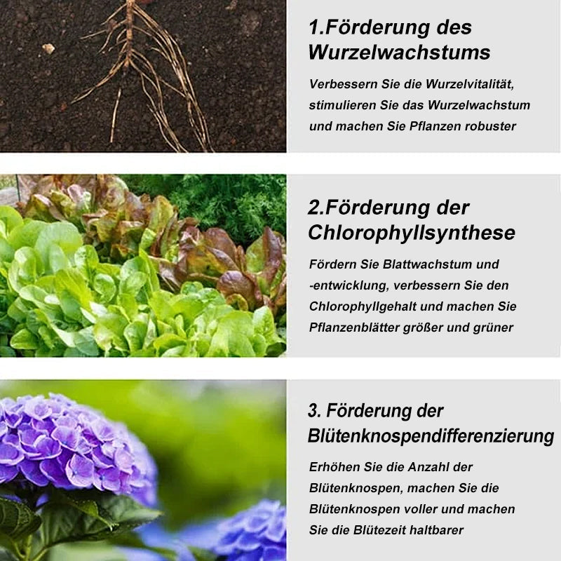 🥬Garten-Universaldünger mit langsamer Freisetzung in Tablettenform🥬